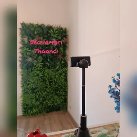 Cammileddi Apartman